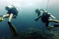 two divers